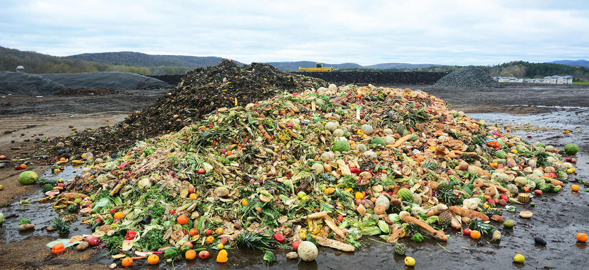 Food Scraps are Converted into Compost