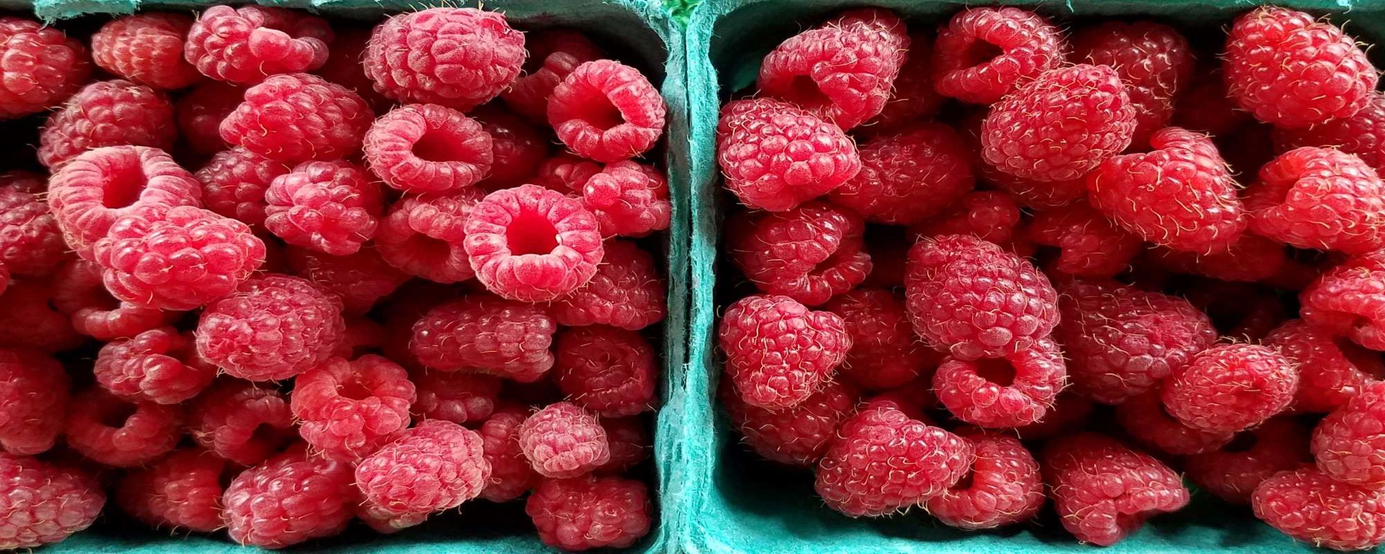 Raspberries!